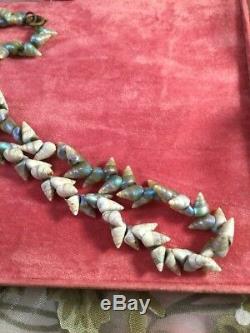 Antique Vintage Aboriginal Tasmanian Maireener Sea Shell Necklace Old Jewelry