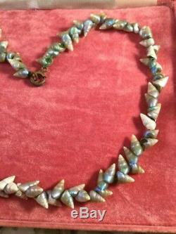 Antique Vintage Aboriginal Tasmanian Maireener Sea Shell Necklace Old Jewelry