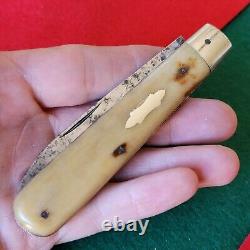 Old Vintage Antique Herder Germany Bone Stag Jumbo Jack Pocket Knife