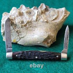 Old Vintage Antique Robeson Pocketeze 623777 Bone Stag Congress Pen Pocket Knife