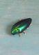 Old Vintage Antique Victorian Real Iridescent Green Beatle Brooch Pin
