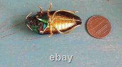Old Vintage Antique Victorian Real Iridescent Green Beatle Brooch Pin