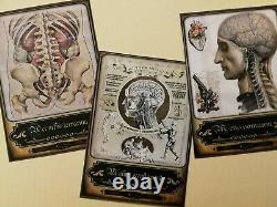 Tarot old medicine vintage anatomy antique surgery apothecary human maps medical
