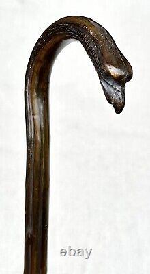 Vintage Antique 1800' Caved Wood Eagle Knobby Wood Walking Stick Cane Old