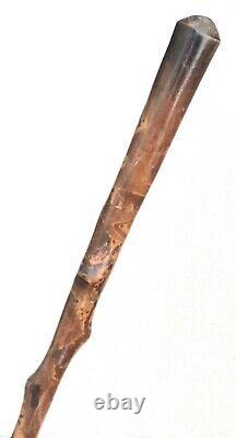 Vintage Antique Elegant Forestry Natural WoodSwagger Knob Walking Stick Cane Old