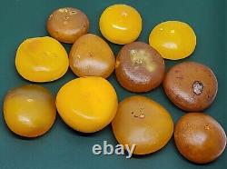 Ambre Chauve Vieux Antique Rare Big Collier Donut Butterschotch 102gr Tibetian