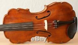 Très Vieux Violon Étiqueté Vintage Castelli Violon Geige