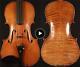 Violon Old Fiddle Vintage Antique Restaured Labeled Stradivarius 1736